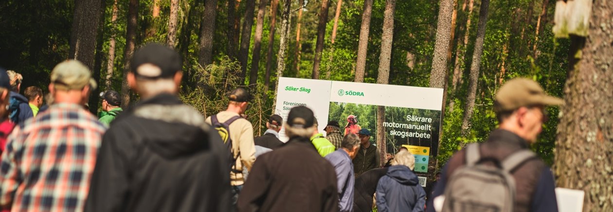 Bilder från Elmia Wood 2025