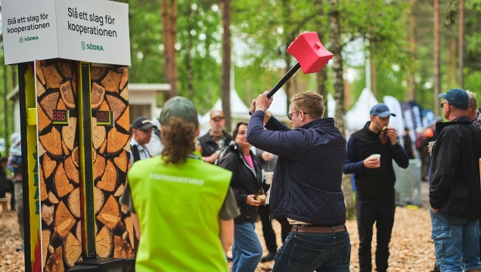 Bilder från Elmia Wood 2025