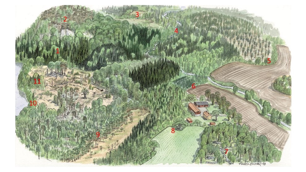 Illustration för att visa foderfrämjande åtgärder.