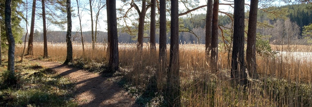 Hedners Park. Fått bild till Södraktivitet - användas i inbjudan och publicering av aktiviteten i Ydre.