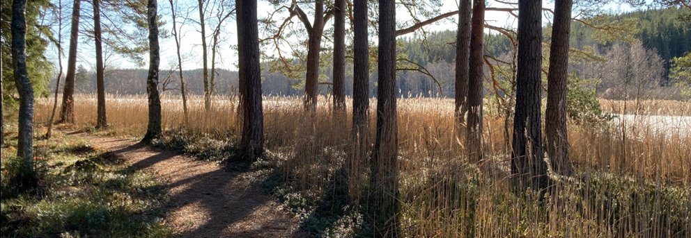 Hedners Park. Fått bild till Södraktivitet - användas i inbjudan och publicering av aktiviteten i Ydre.