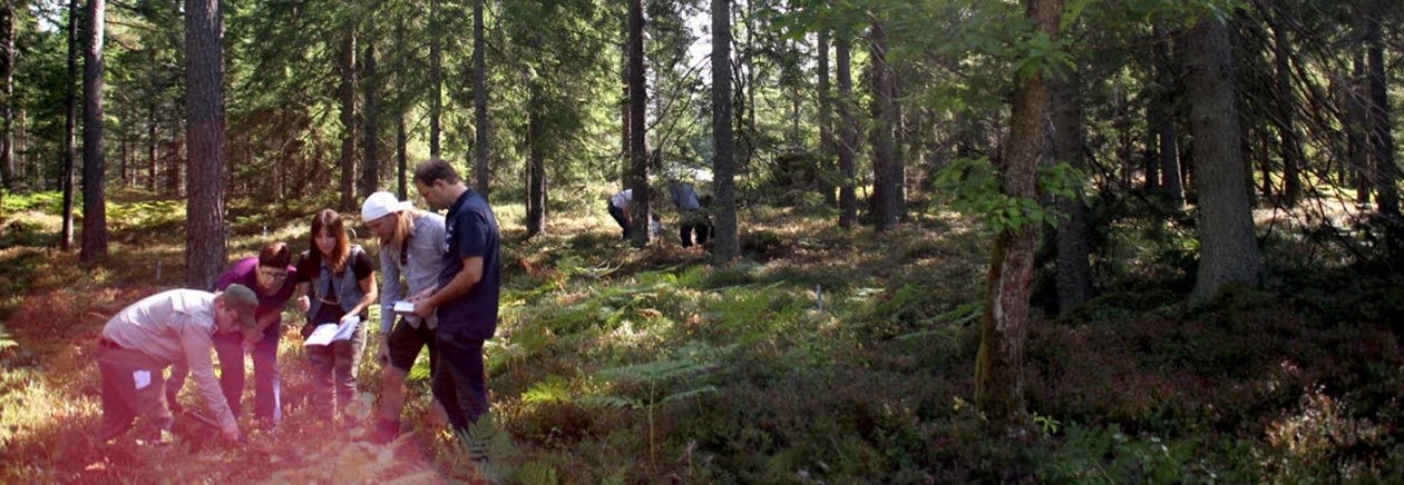 Södrakontakt nr 2 2025