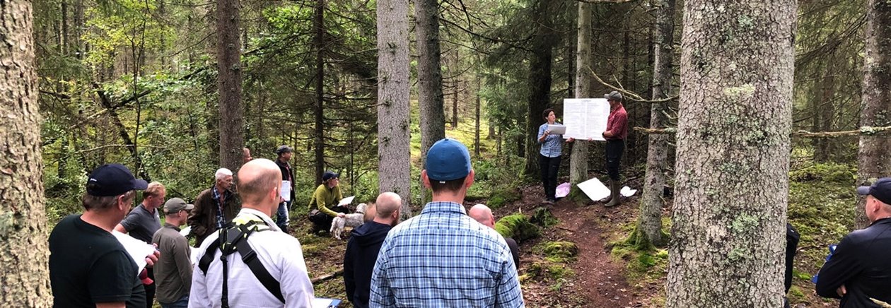 Bild tagen vid Naturvård Södra kursen på Vallersta hösten 2019. Vi går igenom naturvärdesbedömning. 