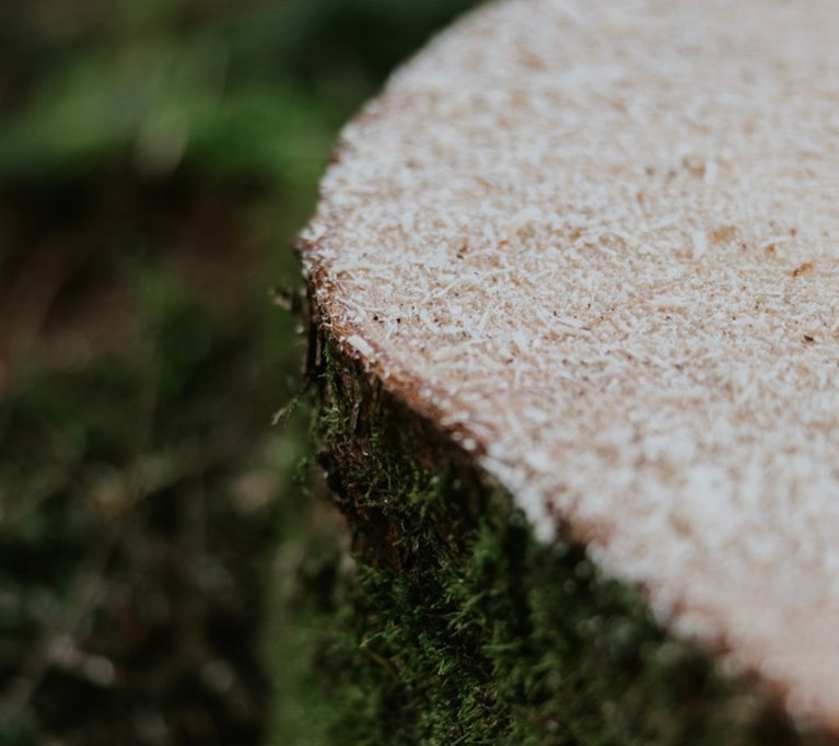 Bilder från ett besök av Filippa K