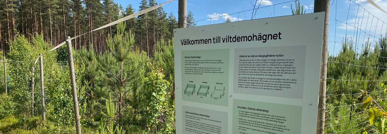 Viltdemohägn 2025