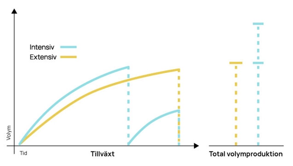 Snabb start och bra föryngringsmetod ger kortare omloppstid.