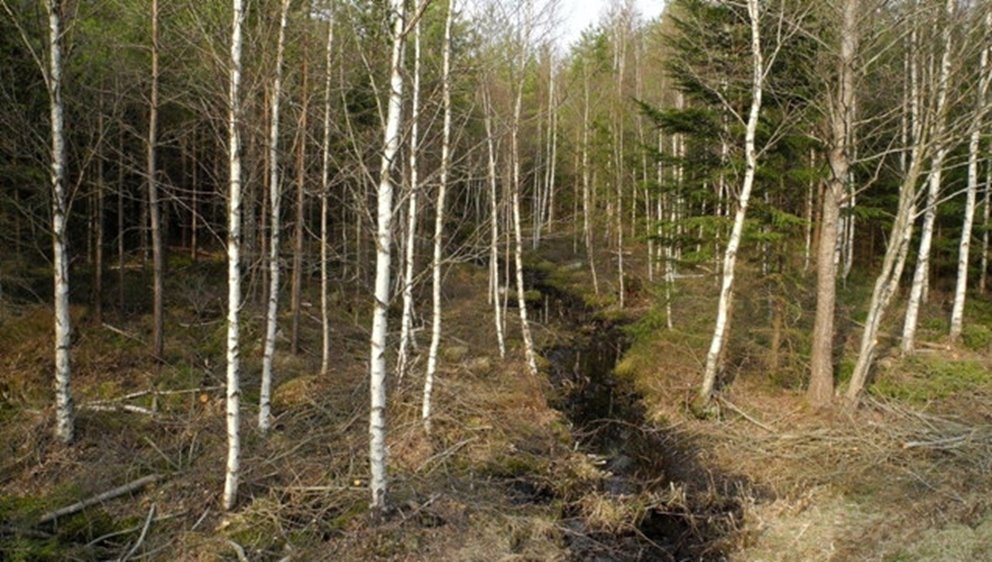 Södrakontakt nr 2 2025