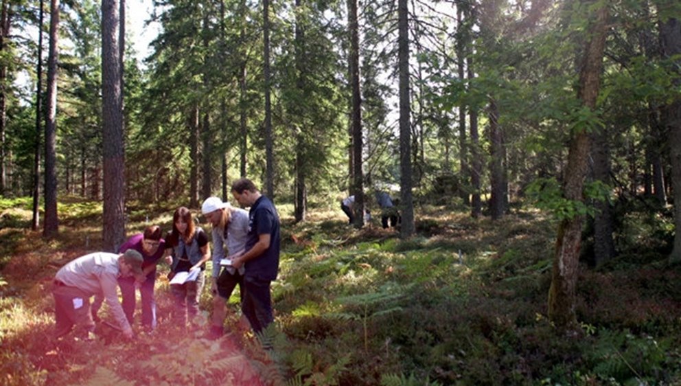 Södrakontakt nr 2 2025