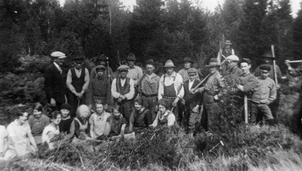 Gruppbild. Skogsplantering 1928.