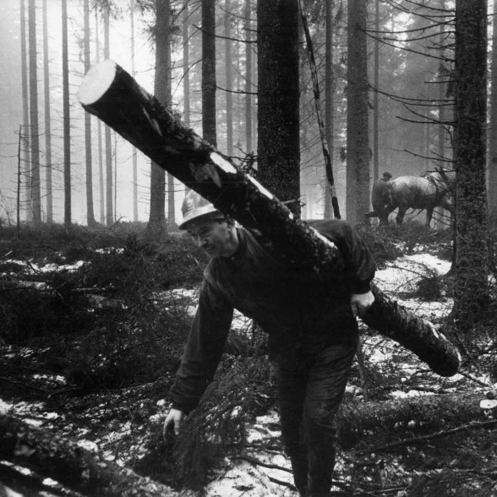 Man bär stock (terrängtransp).