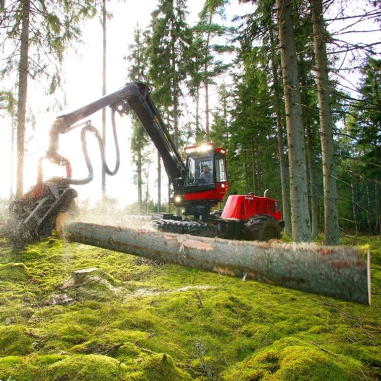 Slutavverkning utanför Vittsjö i Skåne. 