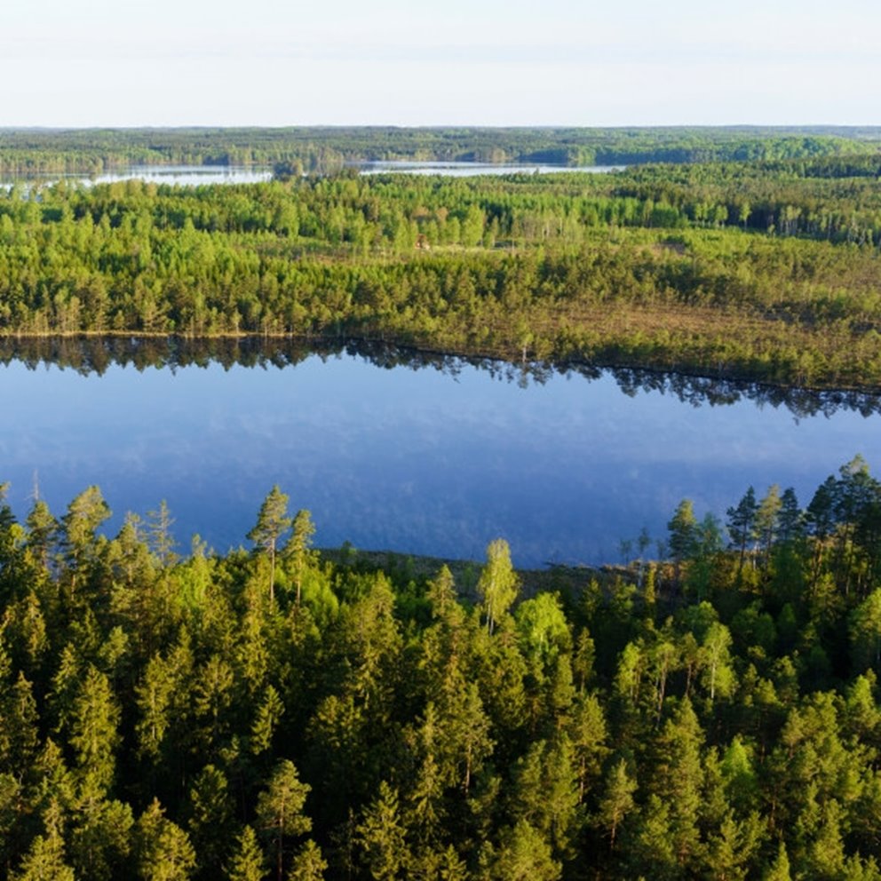 Hult, Odensjö, Kronobergs län. Ägare Conny och Roger Eliasson. Tfn0372378310
SWEREF99 TM
    6299770.297, 414978.694 Skog i Odensjö i Småland