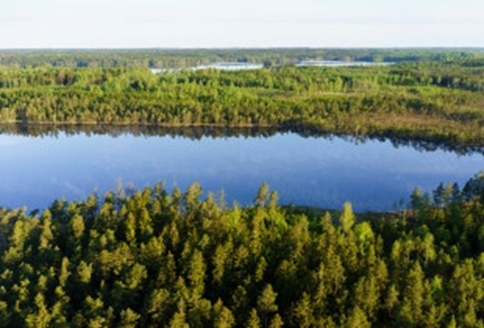 Hult, Odensjö, Kronobergs län. Ägare Conny och Roger Eliasson. Tfn0372378310
SWEREF99 TM
    6299770.297, 414978.694 Skog i Odensjö i Småland