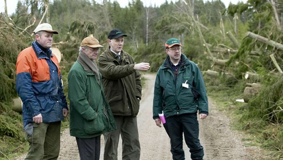 A group of men pointing and inspecting forest