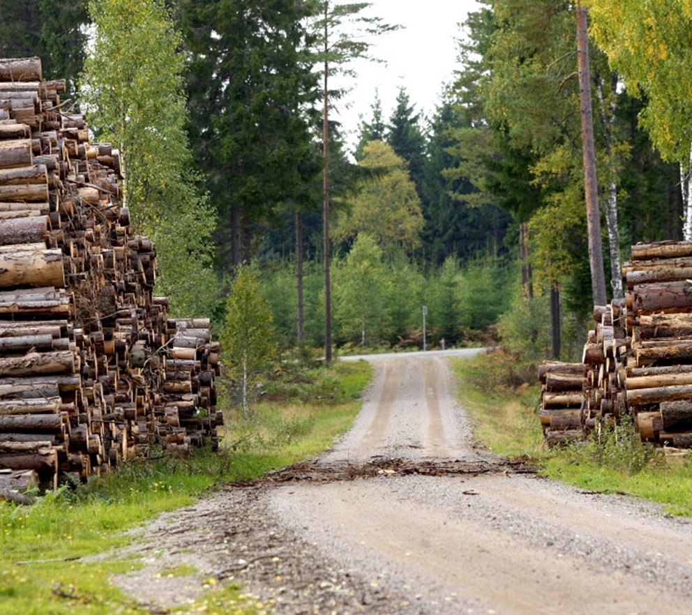 fuelwood