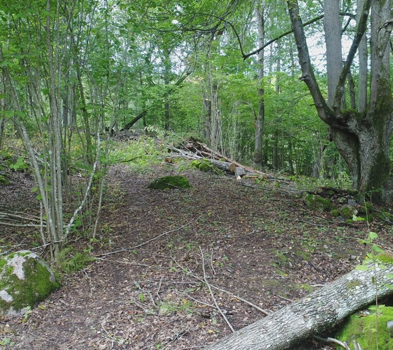 Naturvårdande skötsel