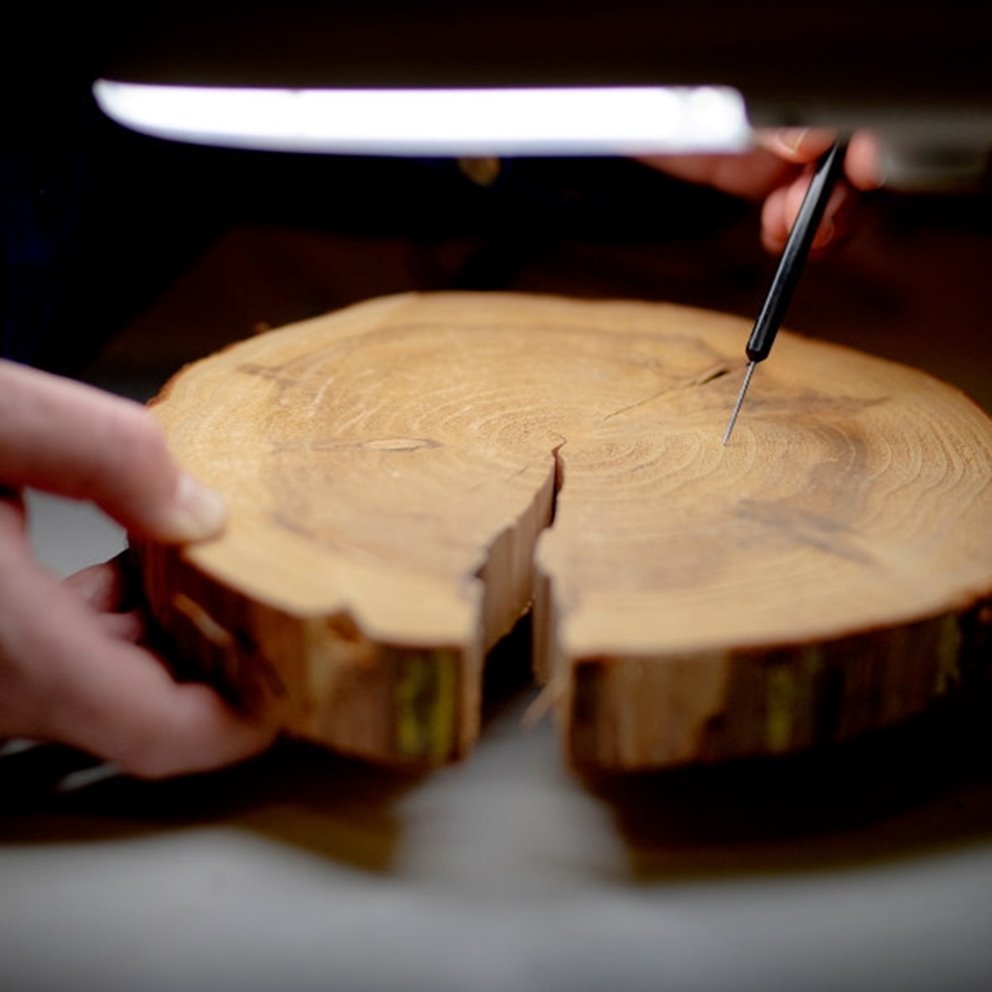 Innovation Ulf Zander som räknar årsringar på en vedtrissa