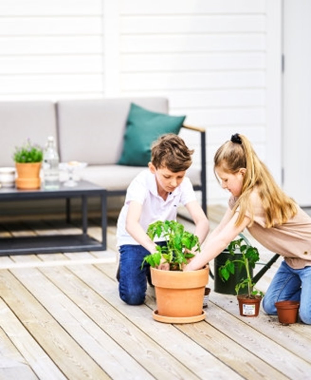 Barn planterar tomatplanta i kruka på trallgolv altan i bakgrunden vitmålad ytterpanel CMP

Children planting a tomato plant in a pot on a wooden deck with white, pre-painted cladding in the background CMP