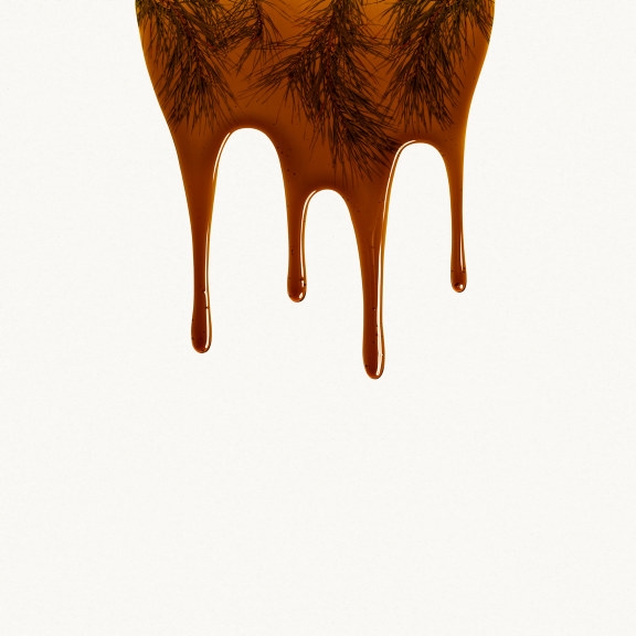 tall oil