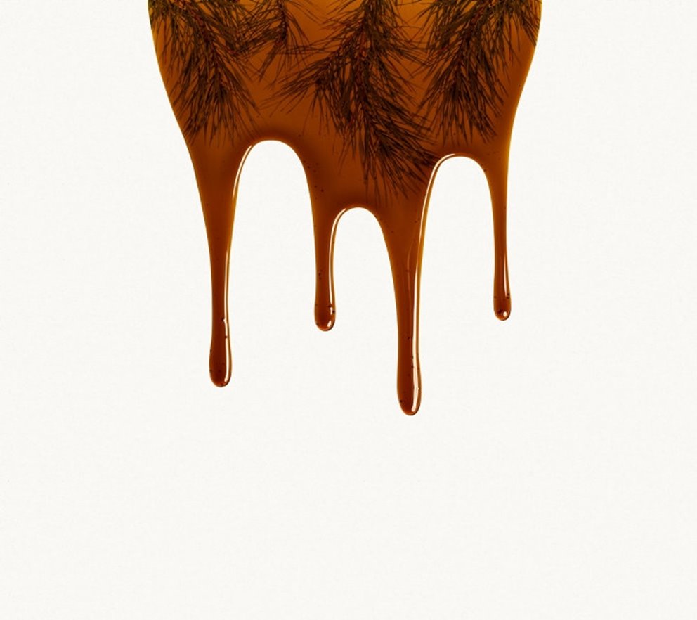 tall oil