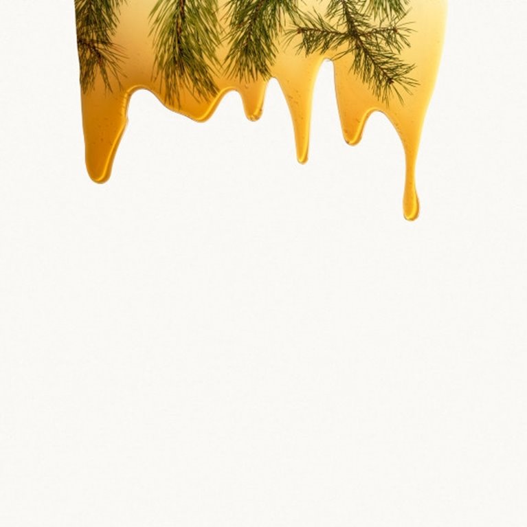 Södra Cell Bioproducts Turpentine Pine Terpentin