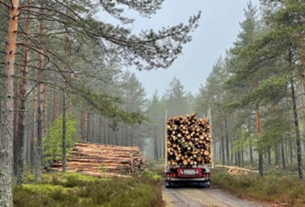 fuelwood