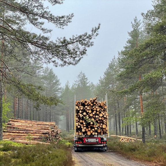 truck with timber