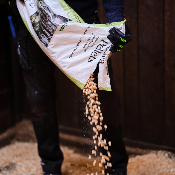 pellets