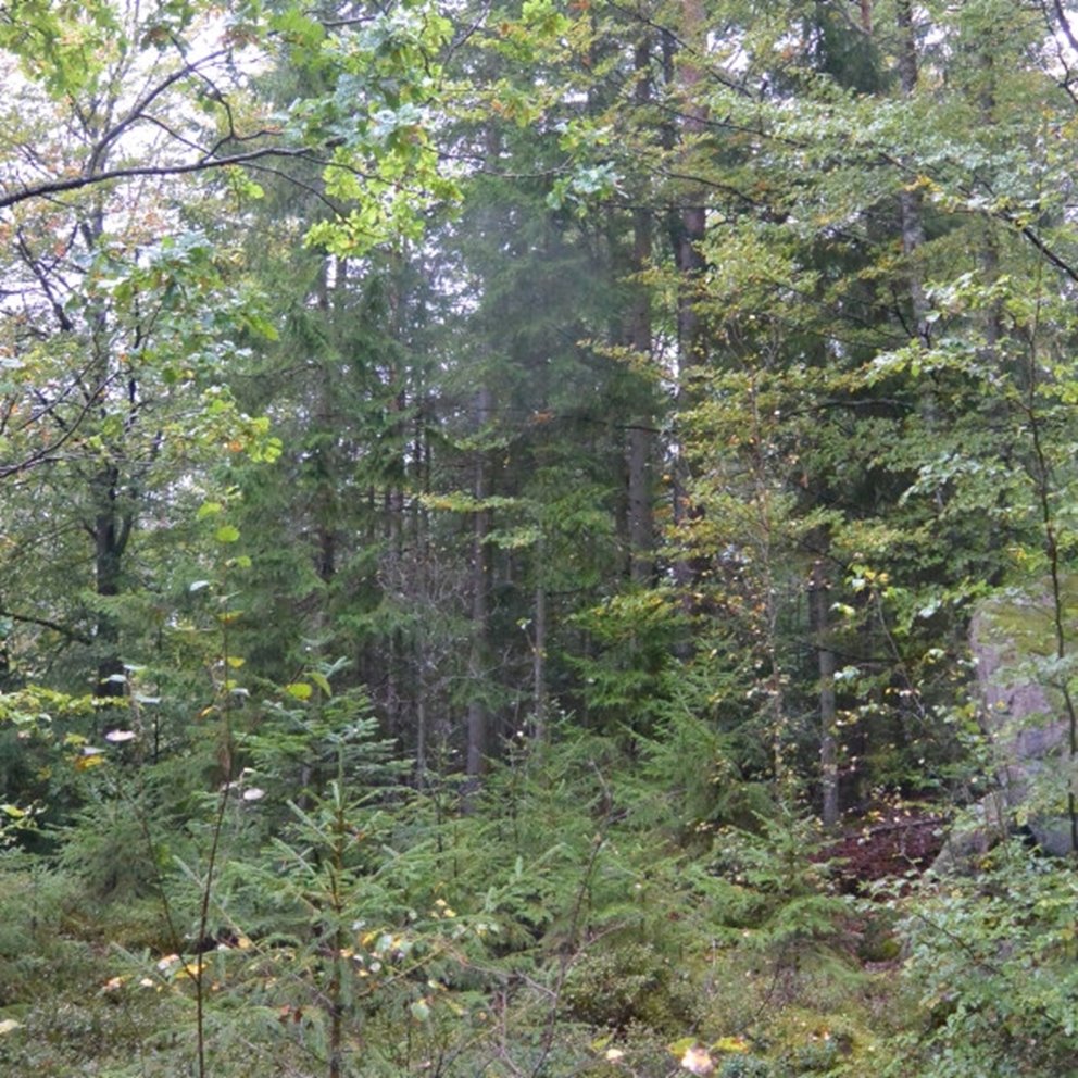 Hyggesfria skötselmetoder