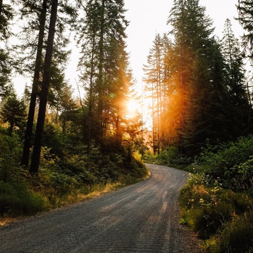 Unsplash - Gratis bild. Även den bild som använts till Conscious delivery.