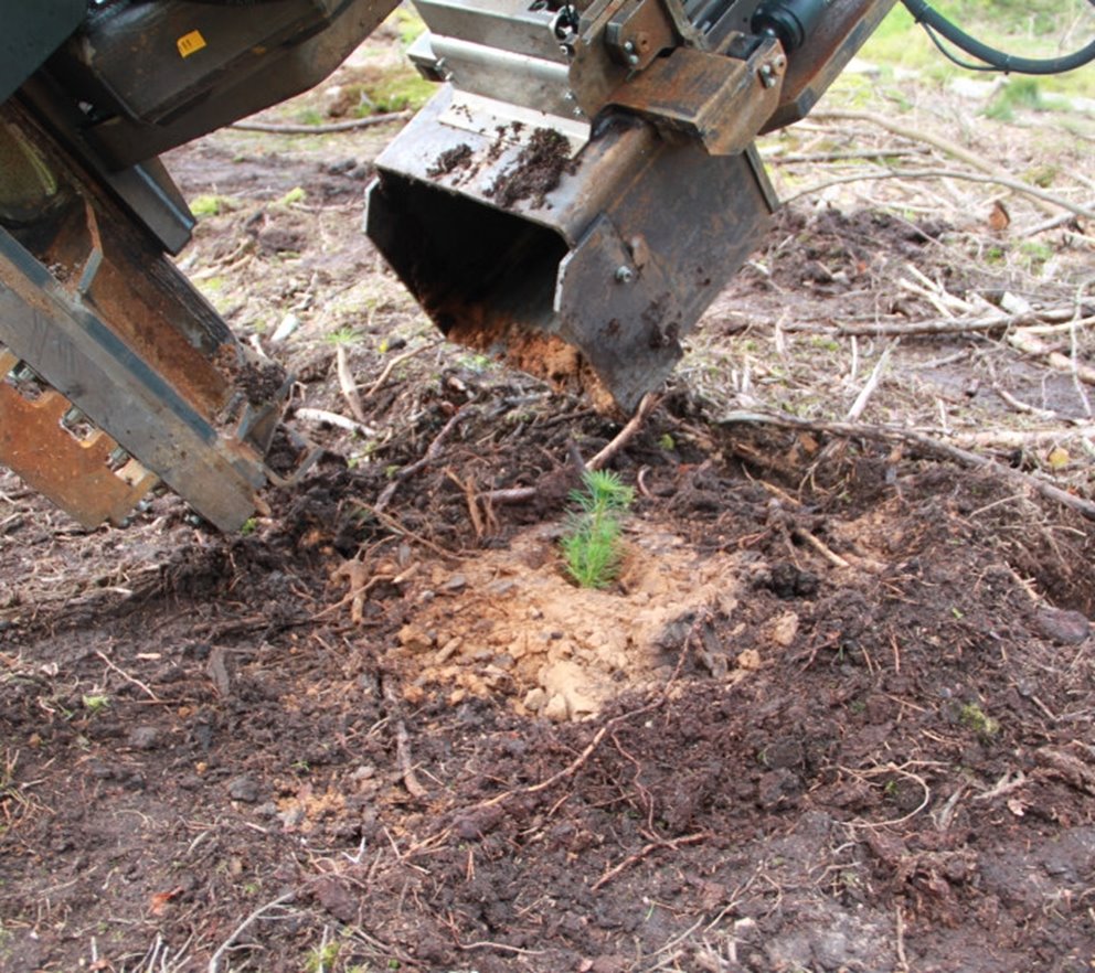 BraSatt 01. Med BraSatts aggregat för markberedning och plantering
får varje planta en optimal växtplats.