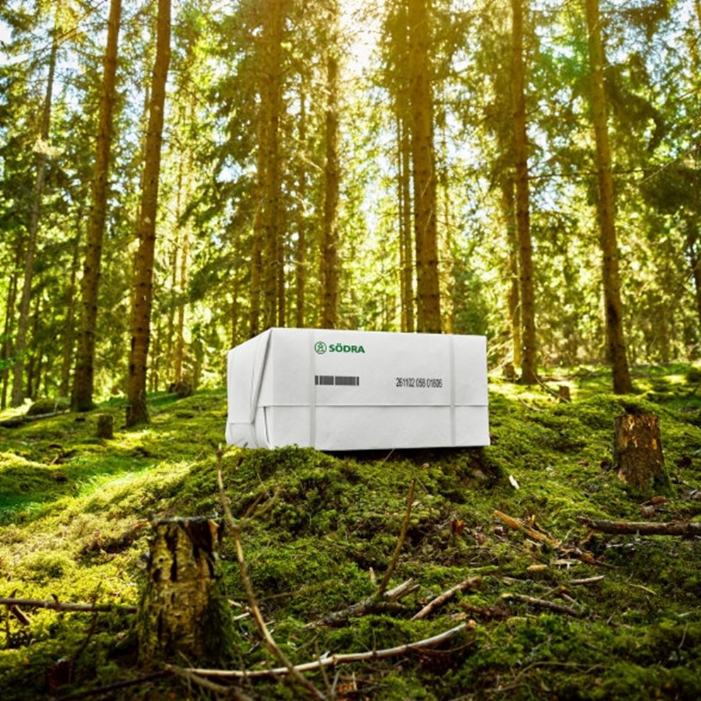 Cell Produktfotografering 2024