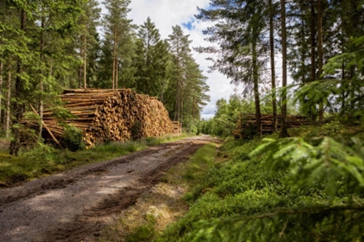 Bilder tagna på två platser i Halland.