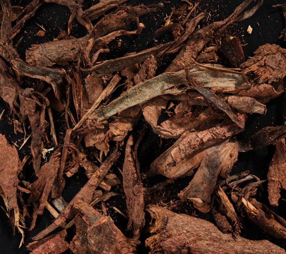 bark