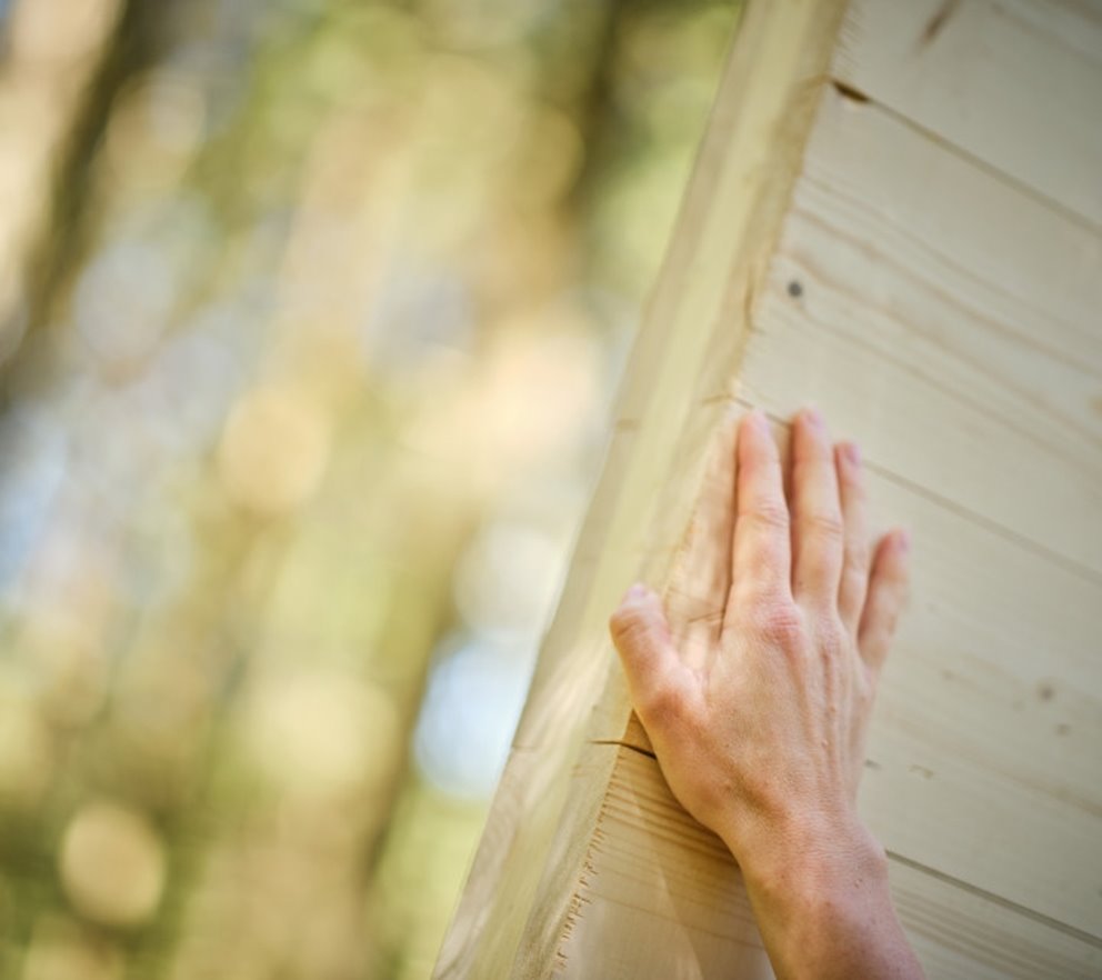 KL-träpanel i skogen