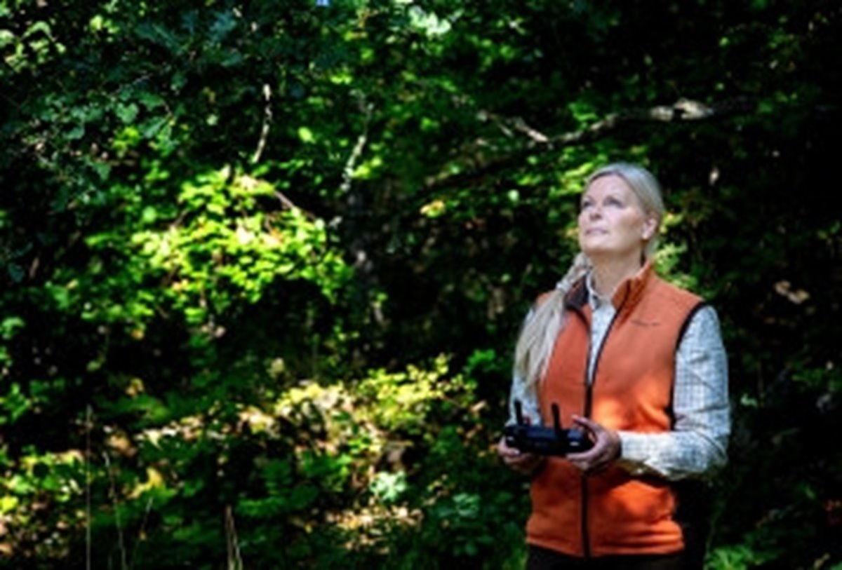 Annette Eilert, doktorand vid institutionen för skog och träteknik vid Linnéuniversitetet, LnU, är en av tre doktorander som är knutna till FRAS – Framtidens skogsskötsel i södra Sverige. Annette kartlägger skogens hälsa med digital teknik. Experimenten med tallplantor i laboratorium visar att med digital teknik kan stress upptäckas tidigare än med det mänskliga ökat. Med hjälp av kameror på drönare ska Annette leta efter tidiga signaler på stress i den växande skogen.