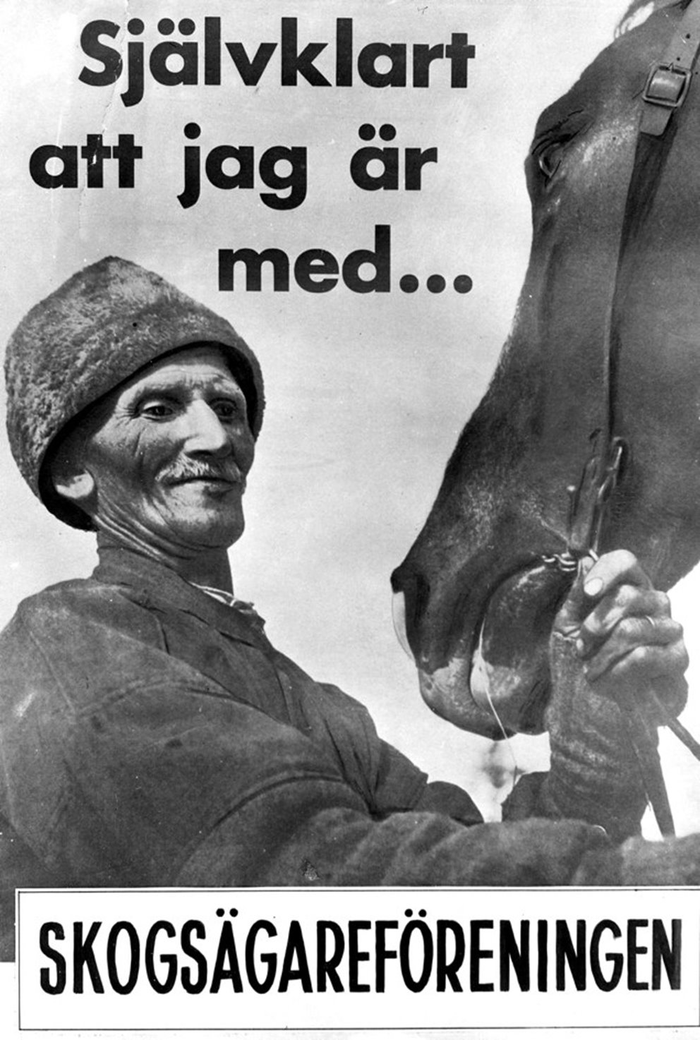 Man with horse and a text saying "Of course I am with you"