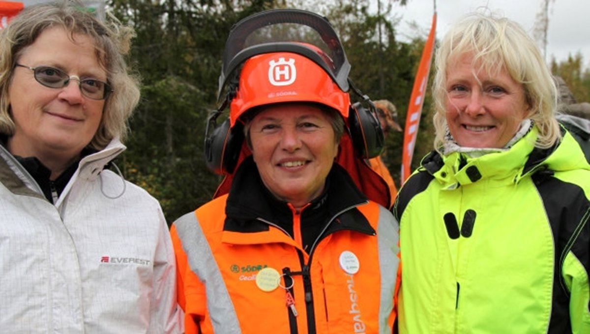 Historiska bilder, Södras historia, Cecilia Rooth