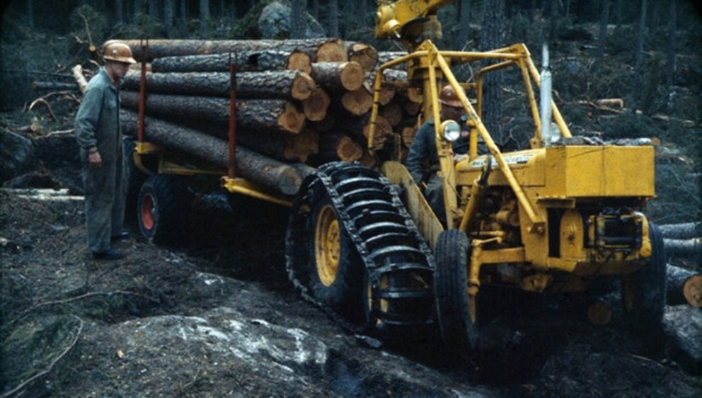 Man standing next to a yellow forestry machine with timber on it