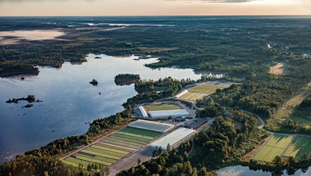 Södras plantskola i Flåboda