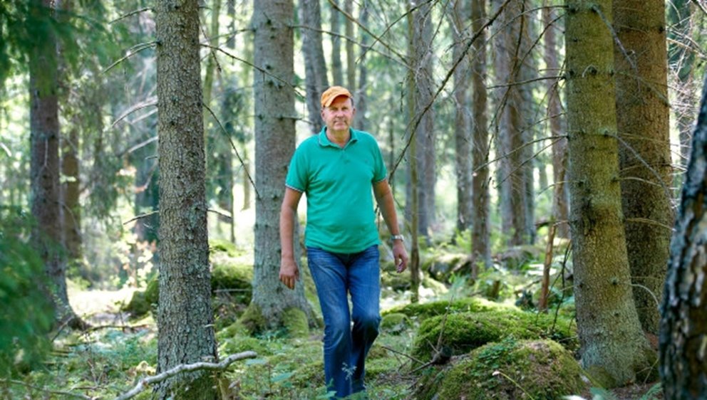 Södrahistorien - Christer Segerstéen