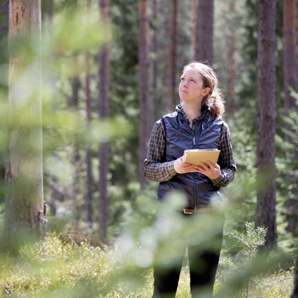 Södra appen Skogsägare visas av Lina Samuelsson