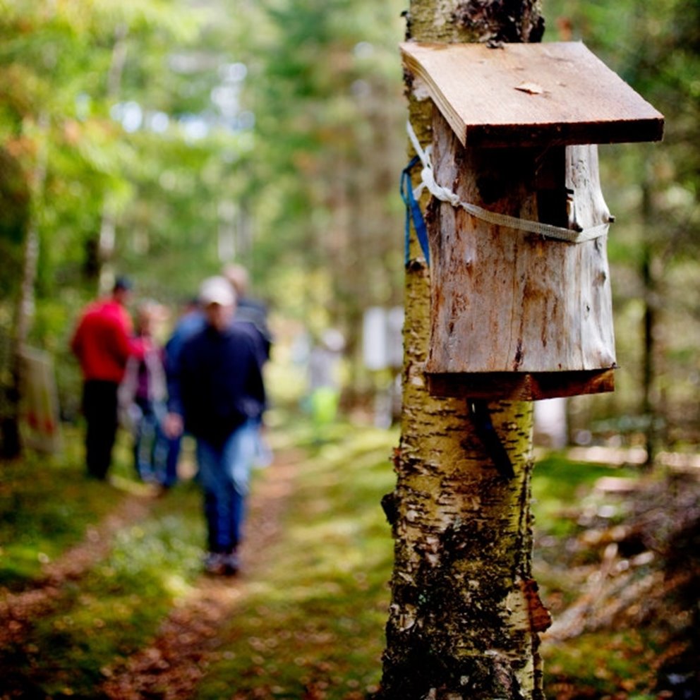 Södra Skogsdag i Sännås, hos Mats och Agneta Helge, mellan Smålandsstenar och Gislaved.
Fågelholk.