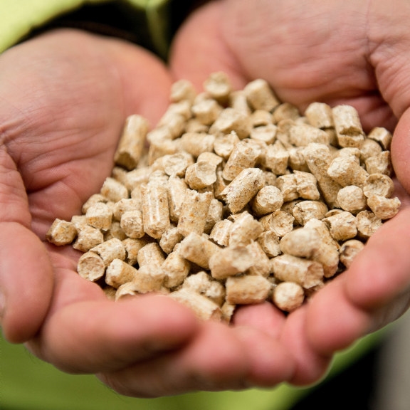 Fuel pellets