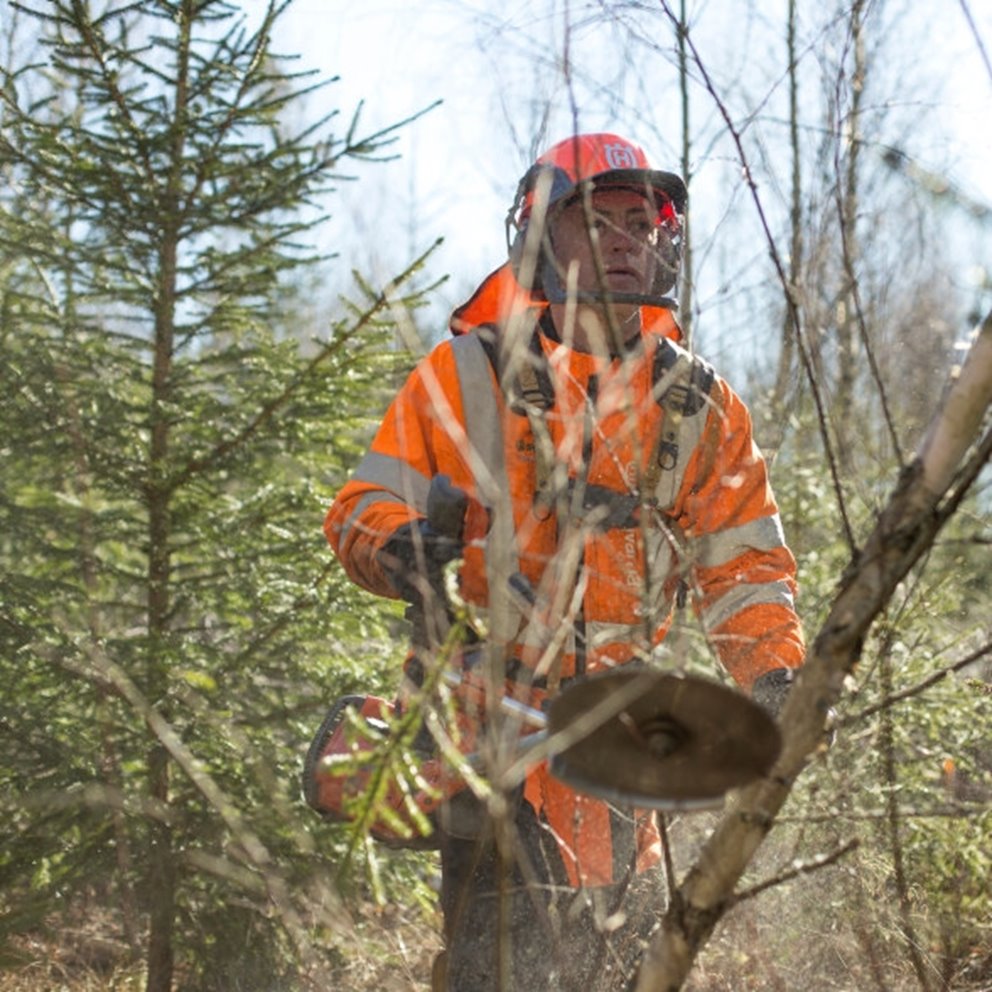 Röjning av skog av Södra-medlemmen Karl-Eric Johansson och dottern Ellen Johansson.  Gran avveckling lövskärm.