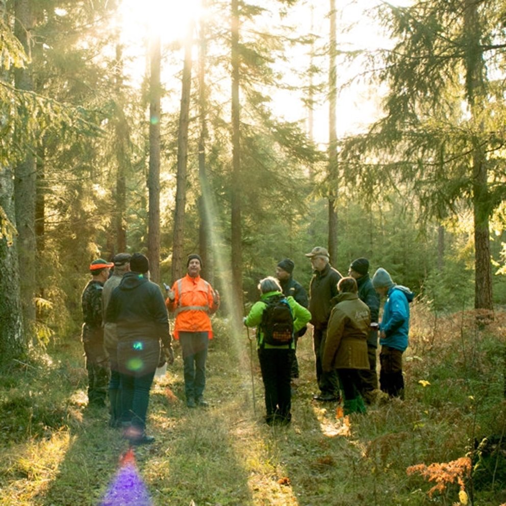 Södraskolan . Grundkurs för skogsägare i skogen utanför Vara. Kursledaren Lars Nilsson i Orangejacka