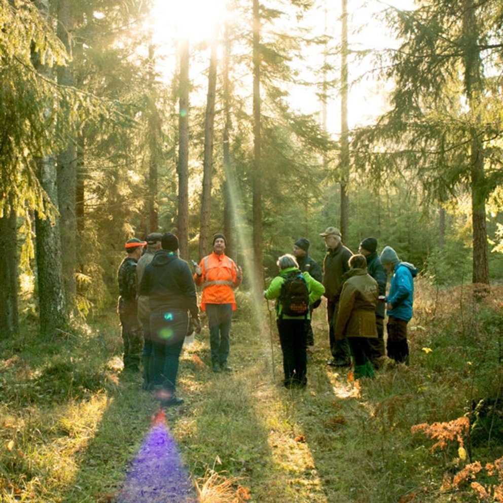 Södraskolan . Grundkurs för skogsägare i skogen utanför Vara. Kursledaren Lars Nilsson i Orangejacka