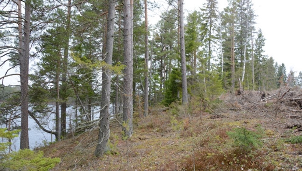 Kantzon mot sjö