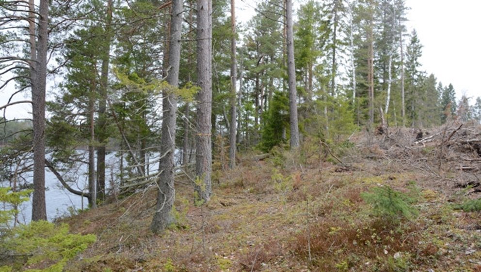Kantzon mot sjö
