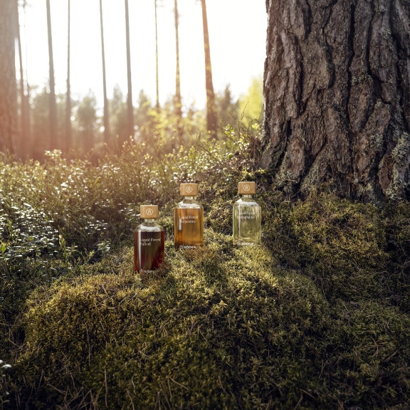 Liquid forest Södra